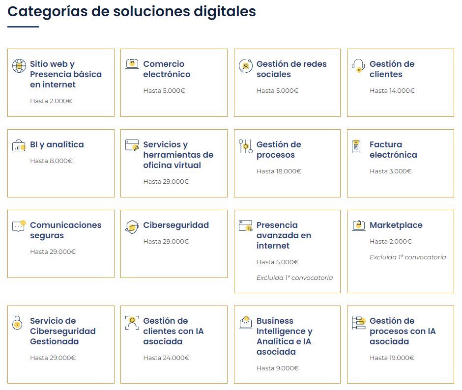 kit digital 250 empleados